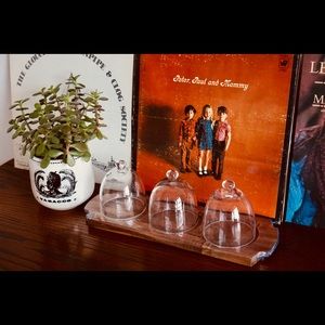 Appetizers or Cloche wood block and domes